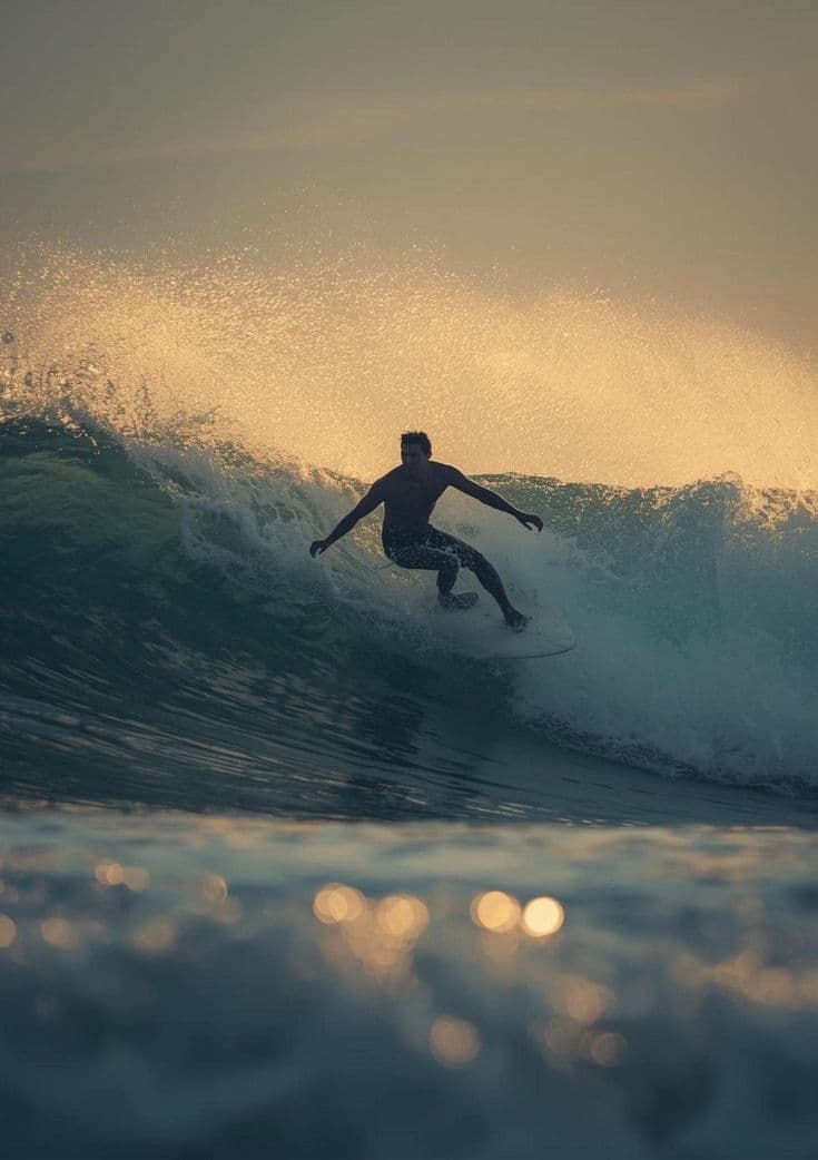 Surf Gallery